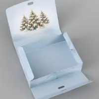 Коробка подарочная, самосборная двухсторонняя &laquo;С Новым годом!&raquo;, 16.5&times;12&times;5 см