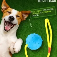 Игрушка для собак, мяч на веревке, 6 см, синяя