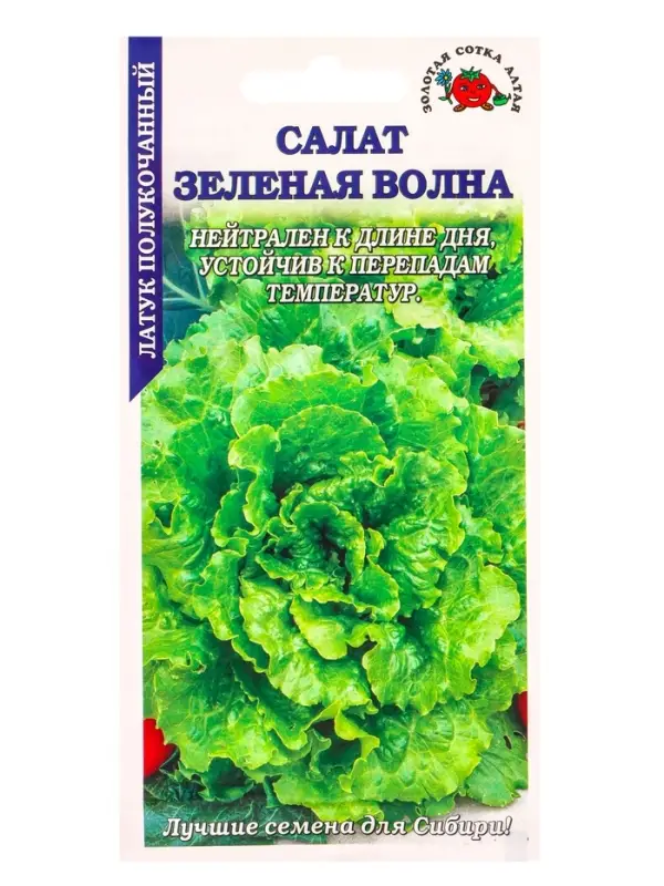 Семена Салат Зеленая Волна полукочанный /Сотка/ 0,5г/ *1500 Семена Салат Зеленая Волна полукочанный /Сотка/ 0,5г/ *1500