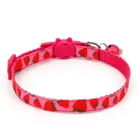 Набор ошейников для кошек &laquo;Фрукты&raquo;, 19-32&times;1 см, 4 шт.