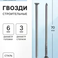 Гвозди ТУНДРА, строительные, ГОСТ 4028-63, без покрытия, 3×70 мм, фасовка 0.2 кг