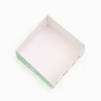 Коробка самосборная &laquo;Кактусы&raquo;, размер 11&times;11&times;7 см, плотность 250 г/м&sup2;