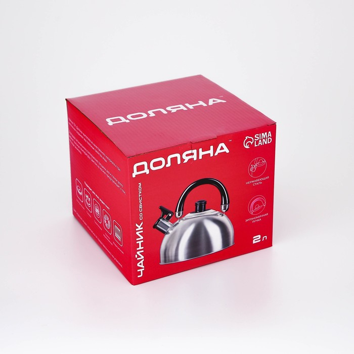 Чайник со свистком из нержавеющей стали Доляна «Чёрная ночь», 2 л, индукция, цвет хромированный
