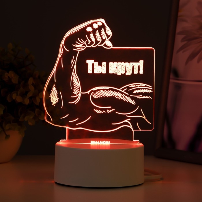 Светильник  Светильник "Ты крут" LED RGB от сети 12,8х9,5х14,5 см RISALUX