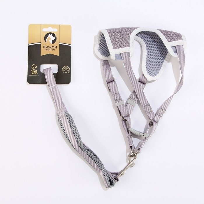 Комплект амуниции с мягкой шлейкой, M, поводок 120 х 1,5 см, ОШ 26-48 см, ОГ 26-48 см, серый Комплект амуниции с мягкой шлейкой, M, поводок 120 х 1,5 см, ОШ 26-48 см, ОГ 26-48 см, серый