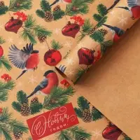 Бумага упаковочная крафтовая «Зимняя сказка», 50 х 70 см Бумага упаковочная крафтовая «Зимняя сказка», 50 х 70 см