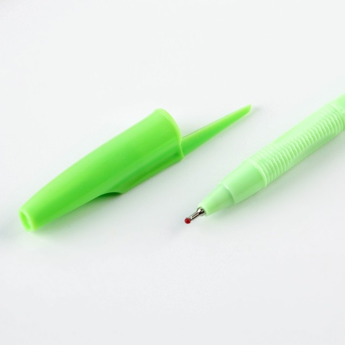 Набор школьника "Учись на 5+"