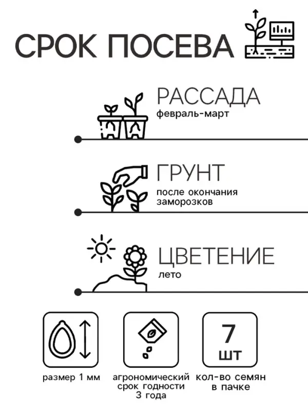 Семена цветов Катарантус "Тату Палайя", 7 шт