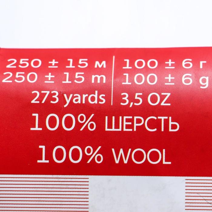 Пряжа Пряжа "Деревенская" 100% шерсть 250м/100гр (02-Черный)