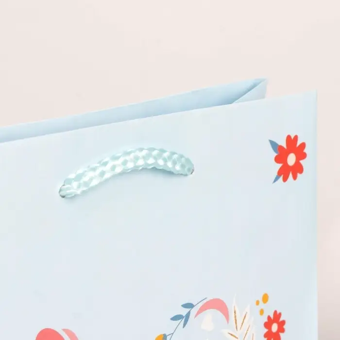 Пакет подарочный ламинированный, упаковка, Present for you, MS 18 х 23 х 8 см