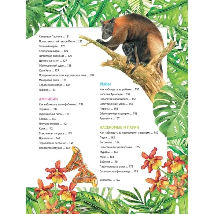 Энциклопедия «Удивительные животные» Энциклопедия «Удивительные животные»