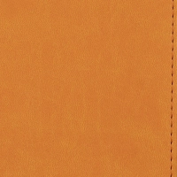 Ежедневник недатированный оранжевый,А5,143х210мм,176л,ATTACHE Сиам