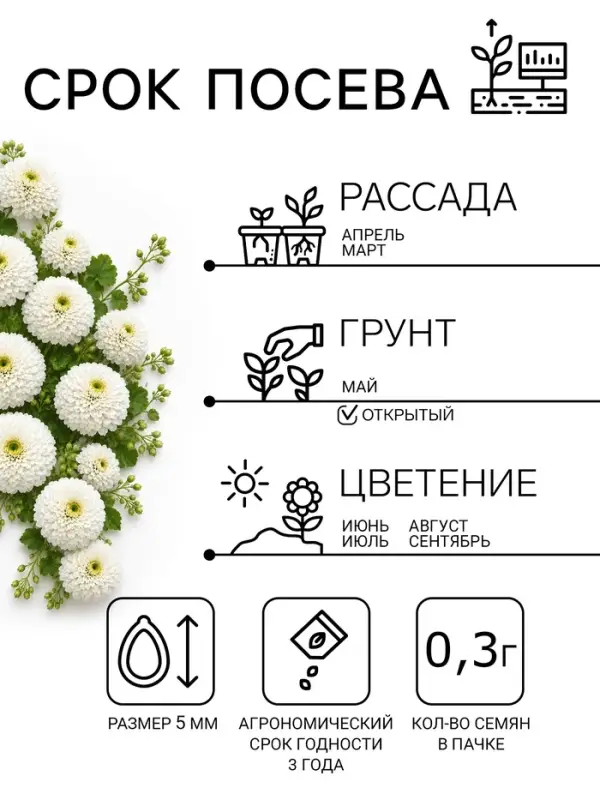 Семена цветов Цинния &laquo;Полярный медведь&raquo;, 0.3 г
