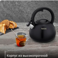 Чайник Kettle ss induction N4180417, для всех видов плит