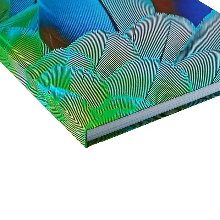 Колледж-тетрадь Calligrata TOP &laquo;Перья&raquo; А4, 160 листов, в клетку, в твёрдой обложке 7БЦ, матовая ламинация, выборочный лак