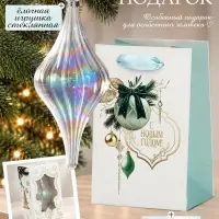 Ёлочная игрушка стеклянная с подарочным пакетом, набор &laquo;Новый год&raquo;, прозрачный