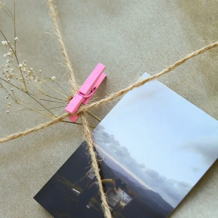 Прищепки для декора, набор 50 шт., розовые &mdash; 2.5 см