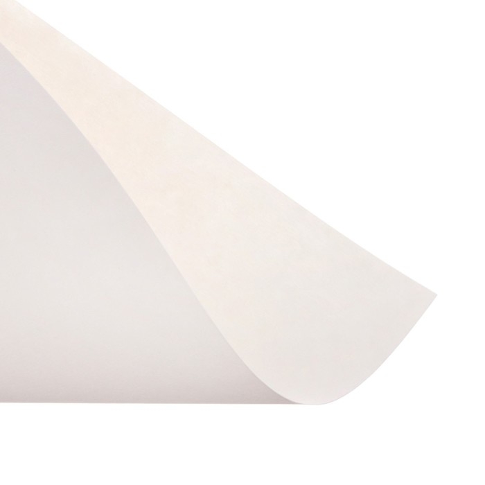 Картон белый А4, 8 листов  Картон белый А4, 8 листов "Котенок", немелованный, плотность 220 г/м2, в папке