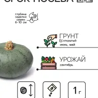 Семена Тыква &laquo;Мускатная Прованская&raquo;, 1 г, &laquo;Рецепты дедушки Никиты&raquo;
