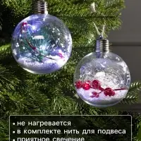 Набор ёлочных шаров &laquo;Веточки и шишки&raquo;, 2 шт., d=10 см, 5 LED, от батареек, свечение белое