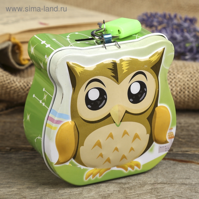 Копилка для денег с замком и ключом «Маленький совёныш», метал, 8.5×9×4.5 см, МИКС Копилка для денег с замком и ключом «Маленький совёныш», метал, 8.5×9×4.5 см, МИКС