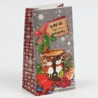 Пакет подарочный без ручек новогодний &laquo;Кому‒то ну очень хорошему&raquo;, 10&times;19.5&times;7 см