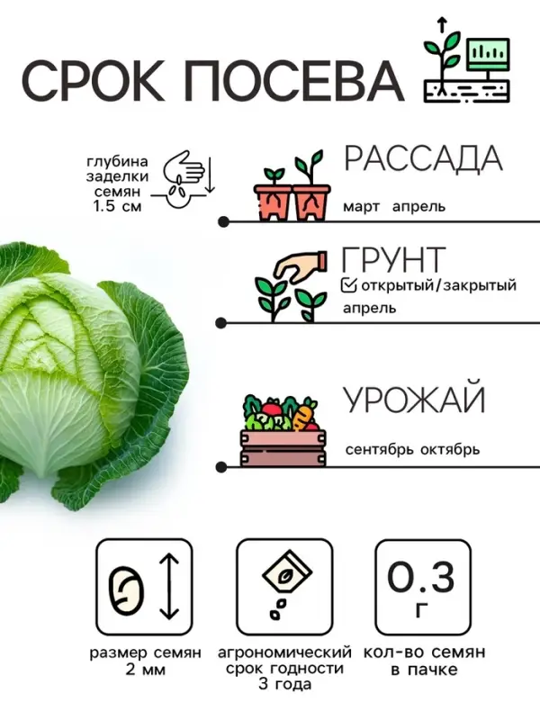 Семена Капуста белокочанная  Семена Капуста белокочанная "Подарок", 0,3 г