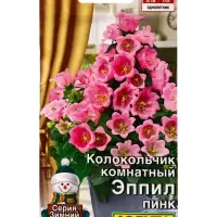 Семена цветов Колокольчик комнатный Эппил пинк (драже) С. Sakata Зимний сад, Ц/П,3 шт. Семена цветов Колокольчик комнатный Эппил пинк (драже) С. Sakata Зимний сад, Ц/П,3 шт.