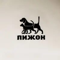 Миска Food, 200 мл, 10&times;10&times;4.5 см, керамика, белая