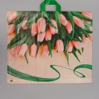 Пакет подарочный Райские тюльпаны 50 х 60 см 60 мкм