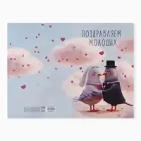 Открытка поздравительная с карманом для денег &laquo;Свадьба&raquo;, голуби, 19&times;29 см