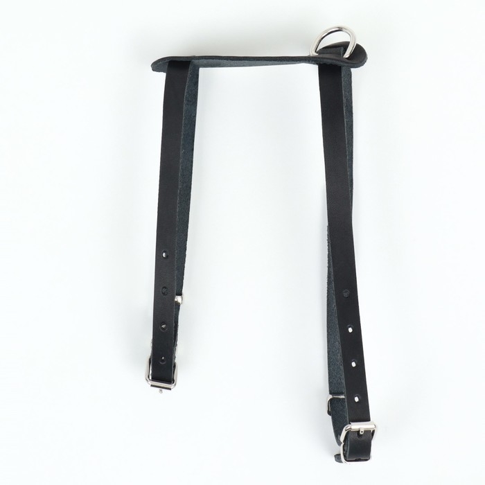 Шлейка кожаная однослойная Шлейка кожаная однослойная "Люкс", ОШ 26-34 см, ОГ 36-44 см, ширина 1,1 см, чёрная