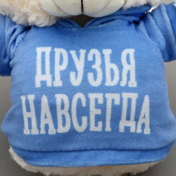 Мягкая игрушка Мишка «Друзья навсегда», в кофте, 13 см Мягкая игрушка Мишка «Друзья навсегда», в кофте, 13 см