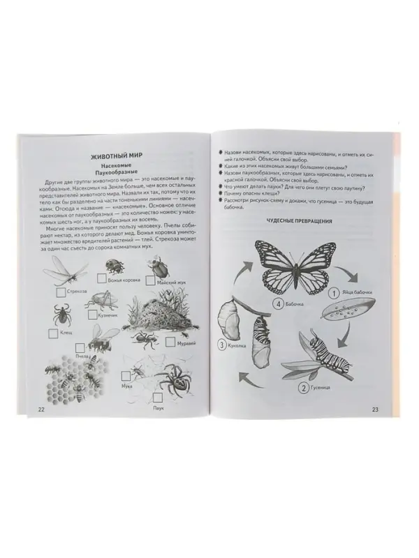 Рабочая тетрадь для детей 5-6 лет &laquo;Знакомимся с окружающим миром&raquo;, Бортникова Е.