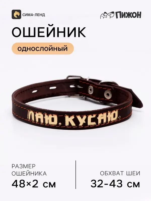 Ошейник кожаный однослойный, тиснёный &laquo;Лаю. Кусаю&raquo;, 48&times;2, ОШ 32-43 см, коричневый с золотом