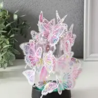 Сувенир пластик "Бабочки на колбе" LED 2хAG13 + наклейки бабочки 8,5х8,5х15 см Сувенир пластик "Бабочки на колбе" LED 2хAG13 + наклейки бабочки 8,5х8,5х15 см