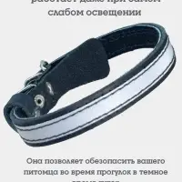 Ошейник, 35&times;1.5 см, с подкладом и светоотражающей лентой, кожа, чёрный