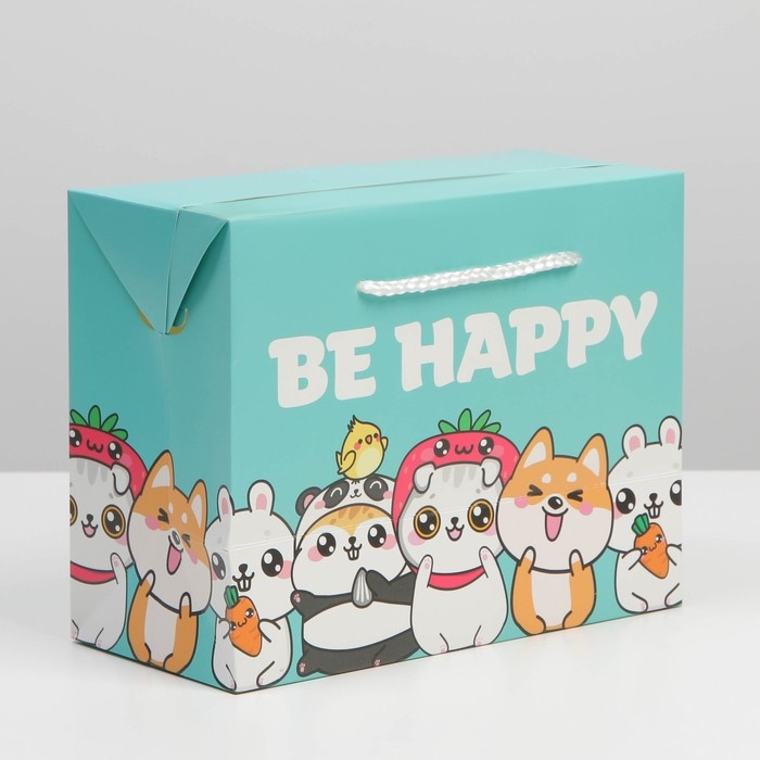 Пакет—коробка, подарочная упаковка, «Present», 23 х 18 х 11 см Пакет—коробка, подарочная упаковка, «Present», 23 х 18 х 11 см