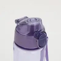 Бутылка для воды пластиковая &laquo;Медведи&raquo;, 600 мл