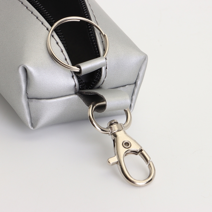 Ключница на молнии, длина 16 см, кольцо, карабин, цвет серебряный Ключница на молнии, длина 16 см, кольцо, карабин, цвет серебряный