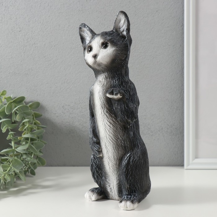 Копилка Копилка "Котенок Том" 27 х 10 х 10 см.