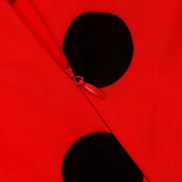 Карнавальный набор «Божья коровка», рост 104–116 см, комбез, маска, сумка, парик Карнавальный набор «Божья коровка», рост 104–116 см, комбез, маска, сумка, парик