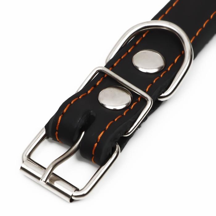 Ошейник кожаный на синтепоне, украшенный, 55 х 2.5 см, ОШ 35-45 см, черный Ошейник кожаный на синтепоне, украшенный, 55 х 2.5 см, ОШ 35-45 см, черный