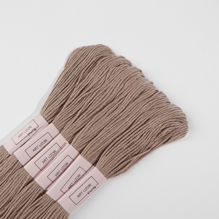 Набор ниток мулине №841, 8 ± 1 м, 6 шт, цвет бежево-коричневый Набор ниток мулине №841, 8 ± 1 м, 6 шт, цвет бежево-коричневый