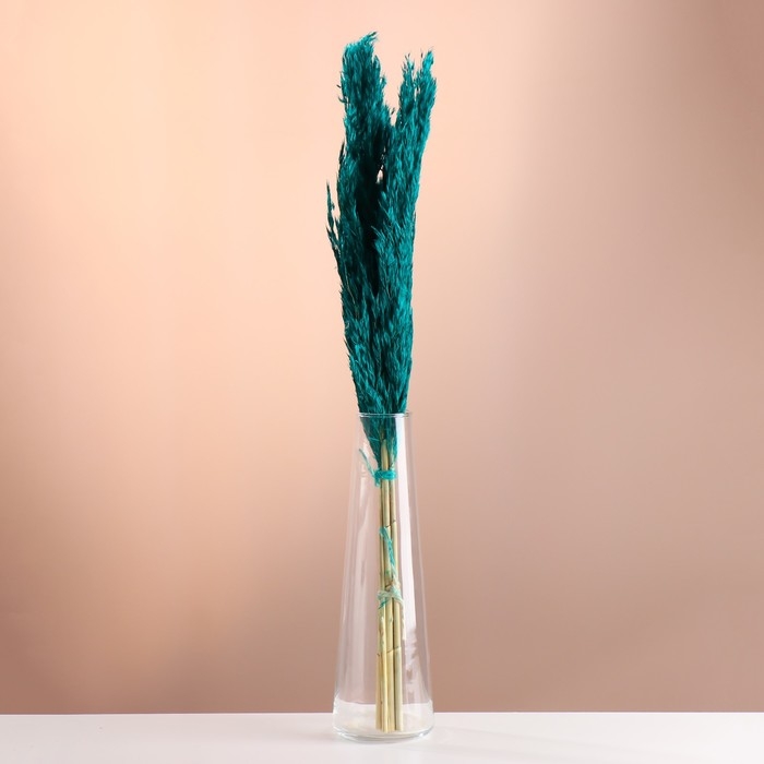 Набор сухоцветов Набор сухоцветов "Камыш", банч длина 65 (+/- 6 см), изумрудный