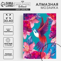 Алмазная мозаика с полным заполнением на холсте «Колибри», 30 х 40 см