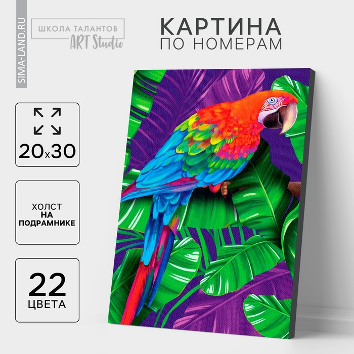Картина по номерам на холсте с подрамником &laquo;Попугай&raquo; 20х30 см