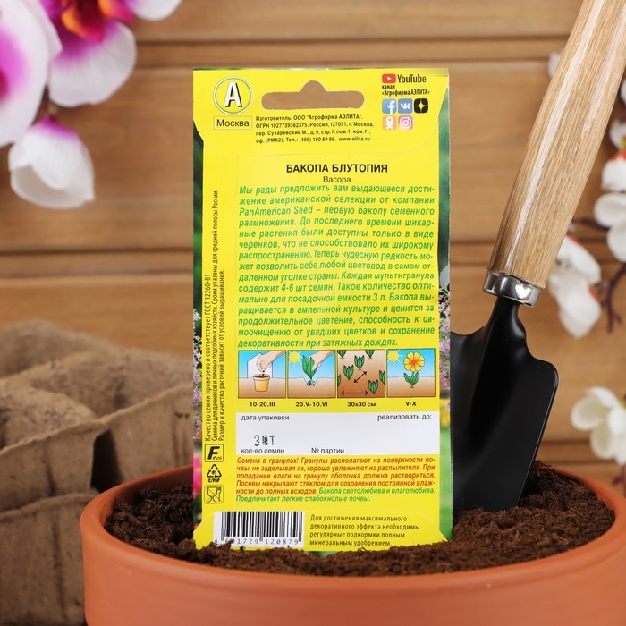 Семена Цветов Бакопа Блутопия ---   Одн (драже в пробирке) Сел. PanAmerican Seed 3шт Ц/П Семена Цветов Бакопа Блутопия ---   Одн (драже в пробирке) Сел. PanAmerican Seed 3шт Ц/П