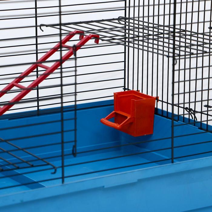 Клетка для грызунов  Клетка для грызунов "Сеня 2", 50 x 37 x 37 см, микс цветов