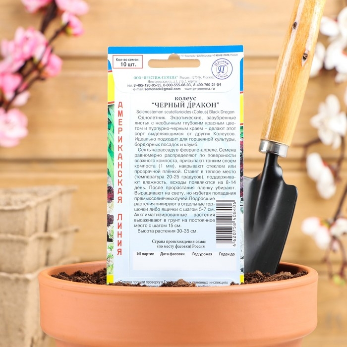 Семена цветов Колеус  Семена цветов Колеус "Черный дракон" F1, О, 10 шт